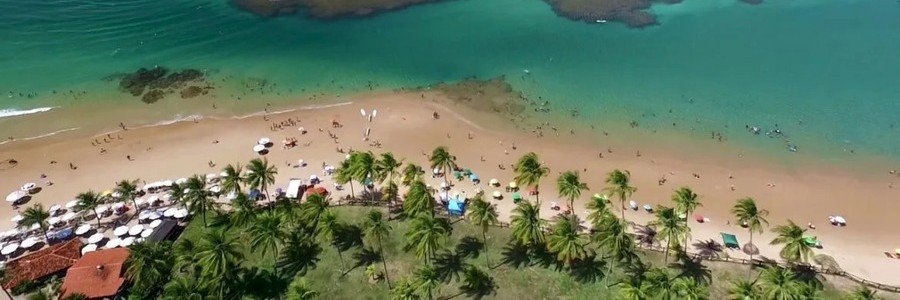 An aerial top-down view of a golden sand beach lined with tall palm trees and turquoise ocean water.