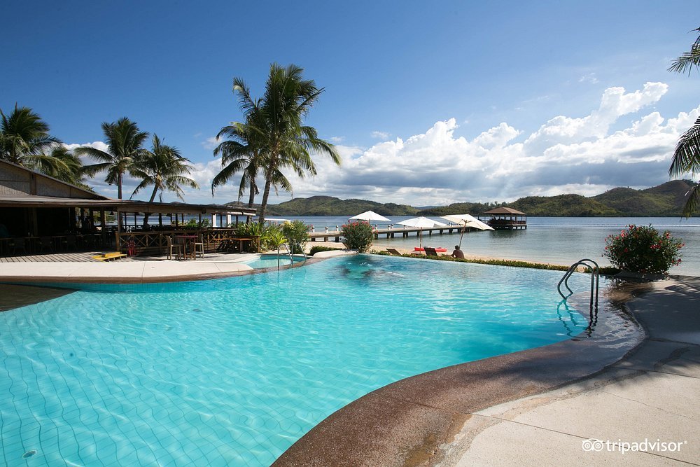 El Rio y Mar Resort beachfront pool with palm trees and calm bay views