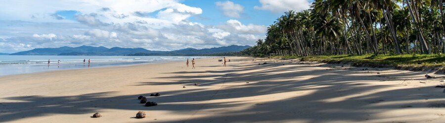 Long Beach in San Vicente Palawan with palm-lined shore