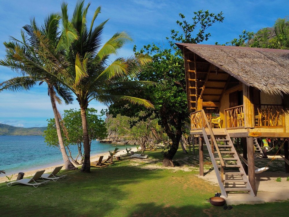 Sangat Island Dive Resort beachfront cottage surrounded by palm trees and calm water