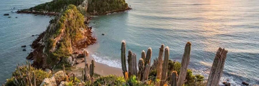 High-angle panorama of Ponta do Pai Vitorio in Buzios Brazil showing a thin green peninsula rugged rock formations and tall cacti overlooking the ocean