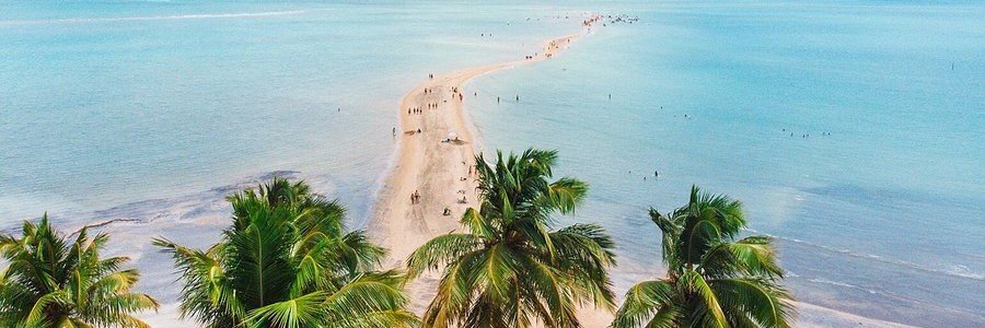 Caminho de Moisés in Maragogi | Beach Travel Destinations Aerial view of the Caminho de Moisés sandbar in Maragogi, Brazil
