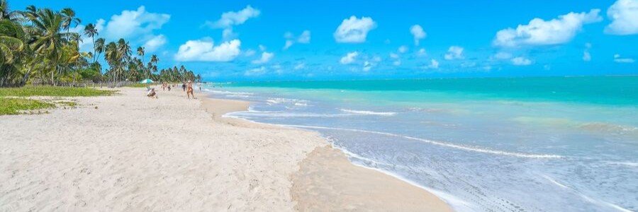 Aerial View of the Maragogi Natural Pools | Beach Travel Destinations Aerial view of boats floating in the natural pools of Maragogi, Brazil