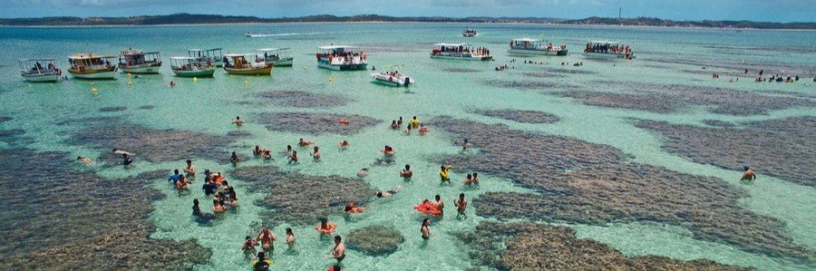 Swimming in the Maragogi Natural Pools | Beach Travel Destinations People swimming in the natural pools of Maragogi surrounded by reef and clear water
