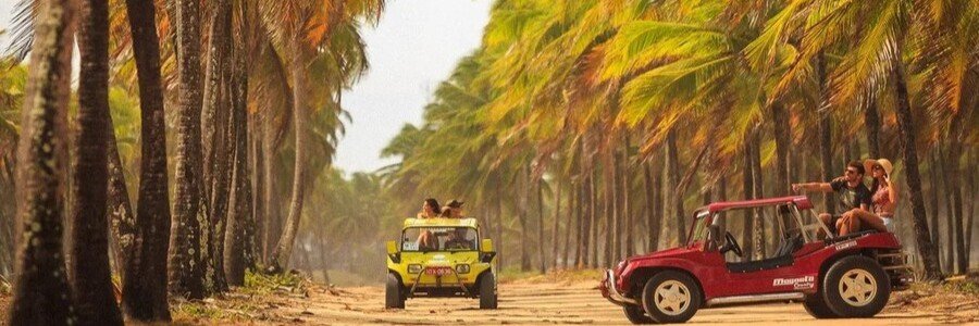 Colorful dune buggies driving through palm-lined trails during a buggy tour in Porto de Galinhas, Brazil.