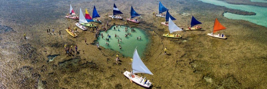 Visitors swimming and snorkeling among tropical fish in the clear natural pools of Porto de Galinhas, Brazil.