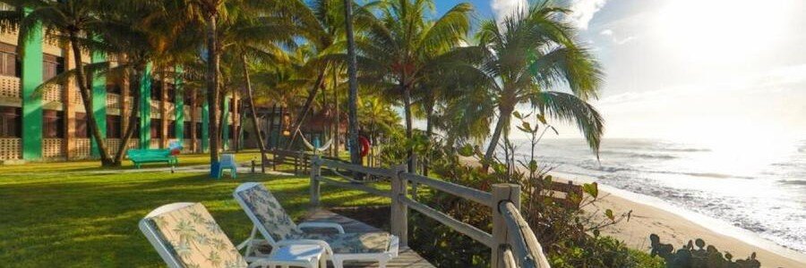 Oceanfront lawn and beachfront seating area at Pousada Ecoporto in Porto de Galinhas, Brazil.