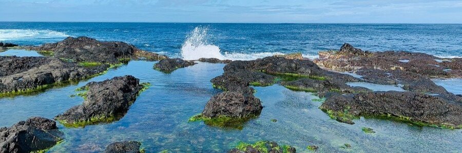 Natural rock pools along the coastline of Praia do Rosa with volcanic rocks, clear water, and ocean waves in Brazil