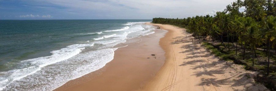Aerial view of Barra Grande Beach with golden sand, palm trees, and Atlantic Ocean waves on the Maraú Peninsula.