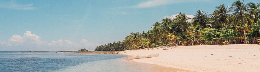 Quiet sandy beach on Corregidor Island with palm trees and calm blue water