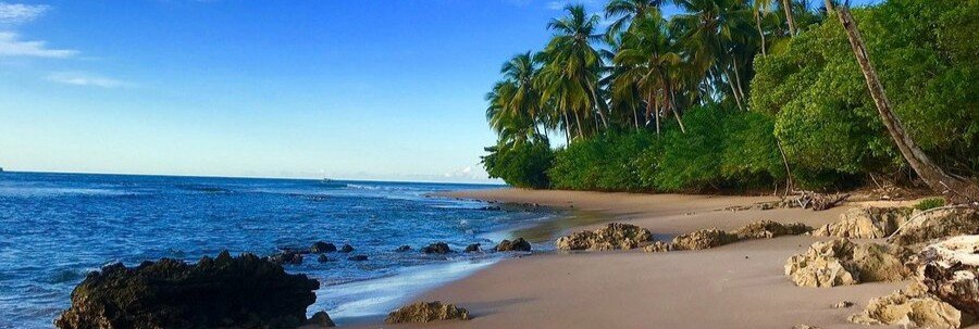 Palm-lined shoreline and calm waters at Ponta do Mutá Beach on the Maraú Peninsula in Bahia, Brazil.