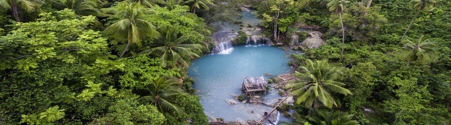 Aerial view of a turquoise waterfall pool in Siquijor, Philippines, surrounded by lush jungle and palm trees