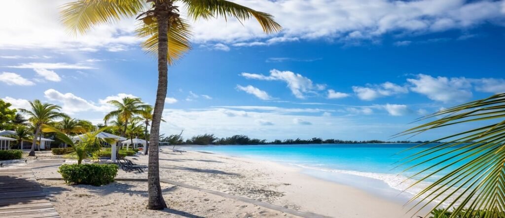 Palm trees and beach cabanas along a bright turquoise shoreline under a sunny sky in the Bahamas.