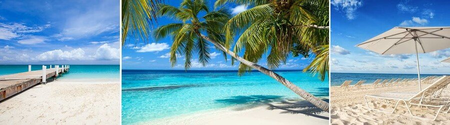 Grand Bahama beaches collage with turquoise water, palm trees, and white sand.
