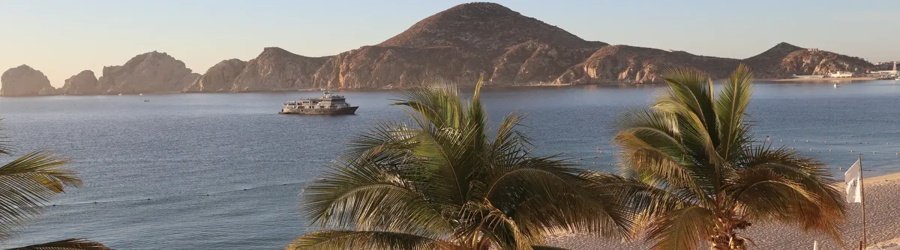 Scenic view of Cabo San Lucas Bay with palm trees, calm blue water, and rugged desert mountains in the background.