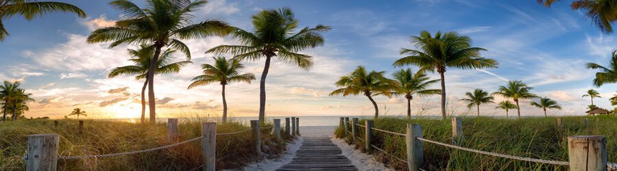 Wooden boardwalk path leading through palm trees toward sunrise on Miami Beach.
