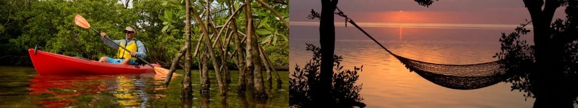 ayaking through mangroves and sunset hammock view in Big Pine Key Florida