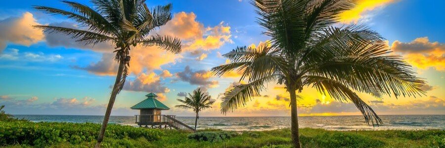 boca-raton-beach-sunrise-palm-trees-florida