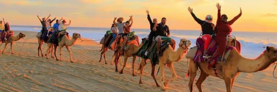 Group of travelers riding camels along the beach at sunset in Los Cabos with ocean waves and golden skies in the background.
