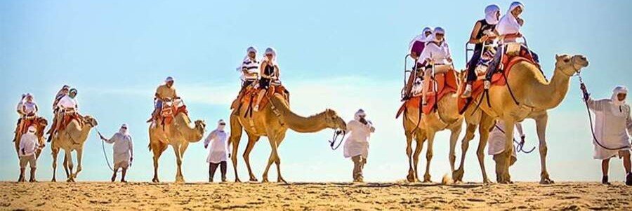 Travelers riding camels with guides across a sunlit sandy landscape in Baja California Sur.