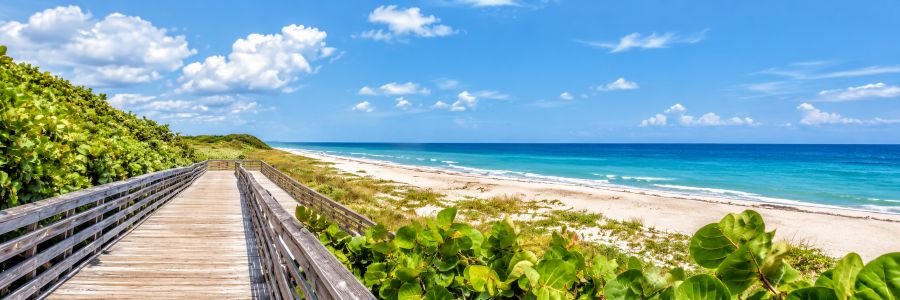 Wooden boardwalk leading through coastal dunes to a sandy Atlantic beach.
