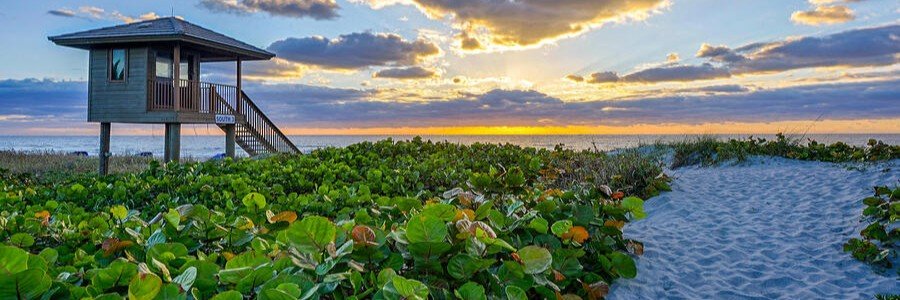 Rustic wood lifeguard tower and sand path lined with green sea grapes in Delray Beach Florida