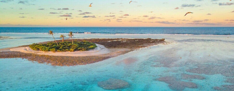 Gambier Islands tropical motu beach French Polynesia lagoon palm trees coral reef aerial view