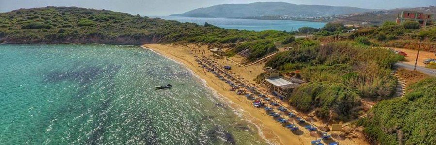 Golden Sand Beach on Andros with clear water, sandy shoreline, and sun loungers.