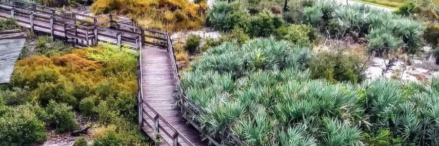 Wooden boardwalk winding through tropical vegetation at Hugh Taylor Birch State Park in Fort Lauderdale.