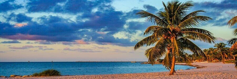 Palm tree at sunset along Smathers Beach in Key West with calm blue water, soft white sand, and colorful evening clouds.