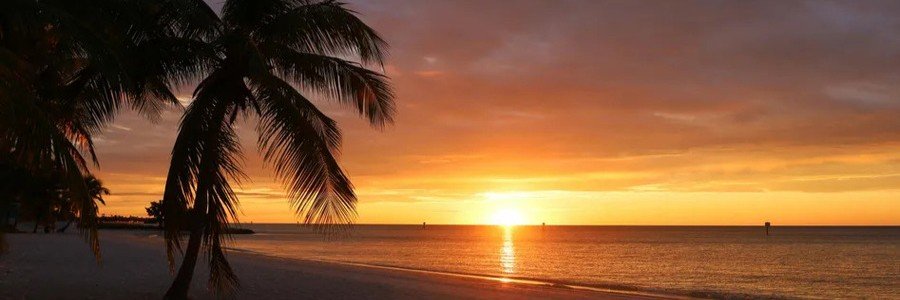 Silhouette of a leaning palm tree on a sandy beach during a dramatic golden orange sunset over the ocean in Key West.