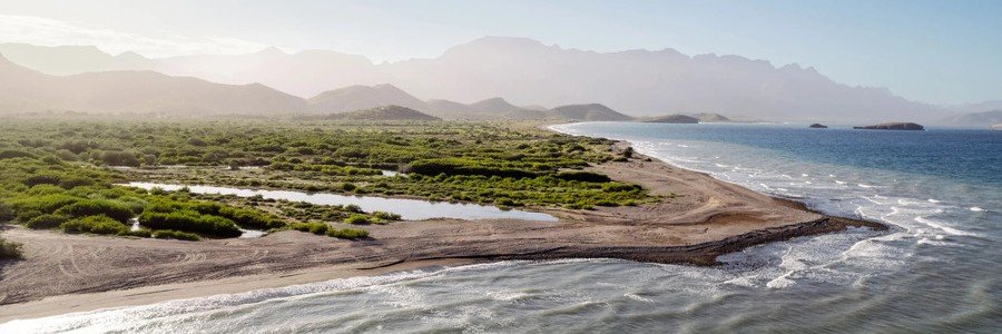 A scenic coastal view in Loreto, Baja California Sur, featuring sandy shoreline, shallow water channels, green mangrove vegetation, and mountains in the distance along the Sea of Cortez