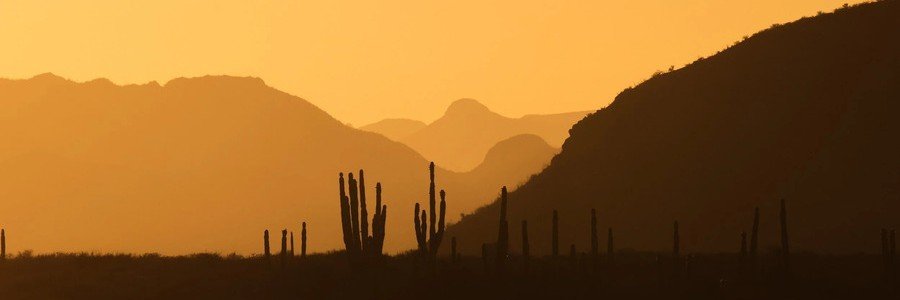 loreto-desert-sunset-cactus-silhouette-mountains | Beach Travel Destinations Sunset over the desert near Loreto, Mexico with cactus silhouettes and layered mountain ranges glowing in warm golden light