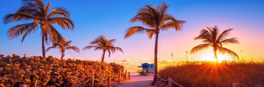 Palm trees lining a beach path at sunset in Miami Beach with golden light over the Atlantic Ocean.