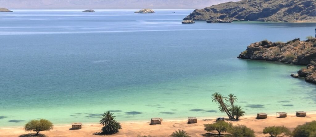 Beautiful turquoise coastline in Mulegé, Baja California Sur, featuring Bahía Concepción’s calm clear water, sandy beach, and palm trees along a peaceful cove
