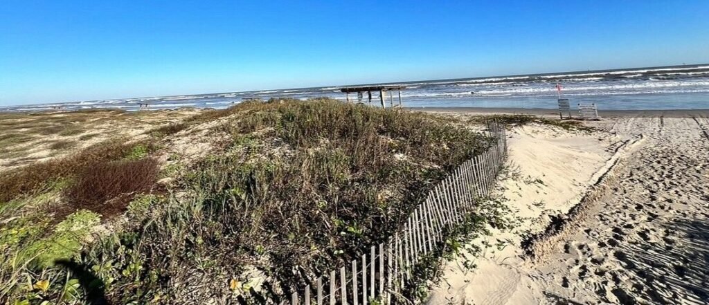 Sand dunes and beach fence along Mustang Island Texas shoreline with Gulf waves in the background.