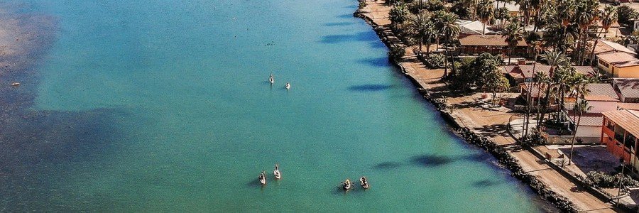 Paddleboarders gliding over clear turquoise water near the shoreline in Mulegé, Mexico, with palm trees and small beach homes nearby