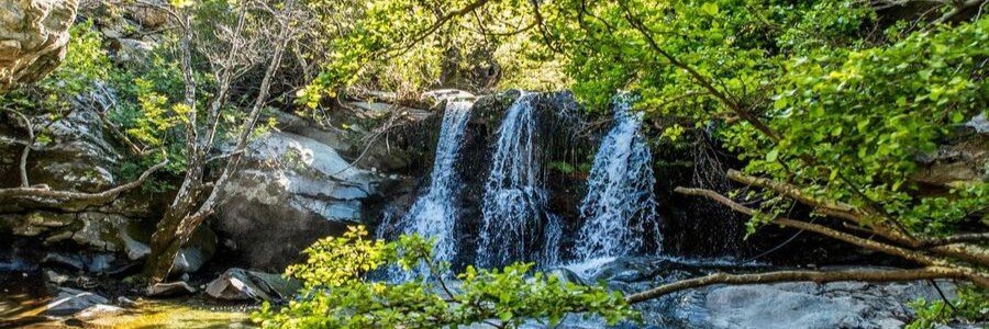 Pythara Waterfalls surrounded by trees and greenery on Andros Island, Greece.