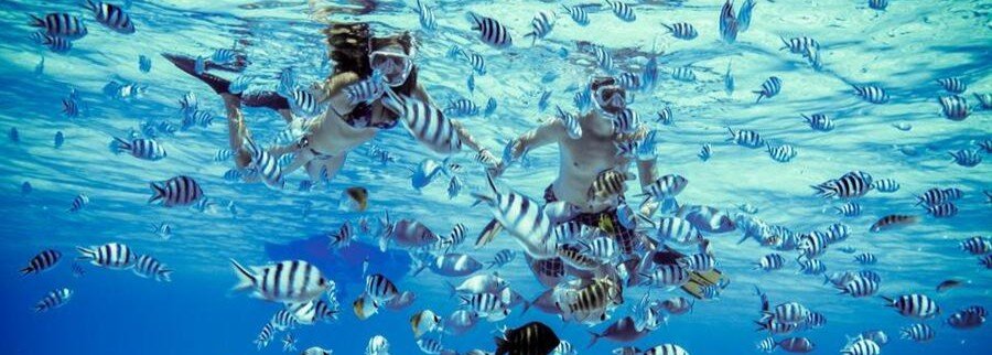Snorkelers swimming among tropical fish in clear turquoise waters of the Austral Islands lagoon