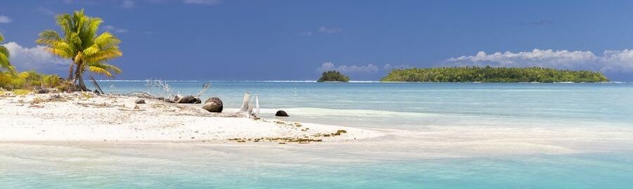 White sand beach in Tuamotus atoll with palm tree and shallow turquoise lagoon