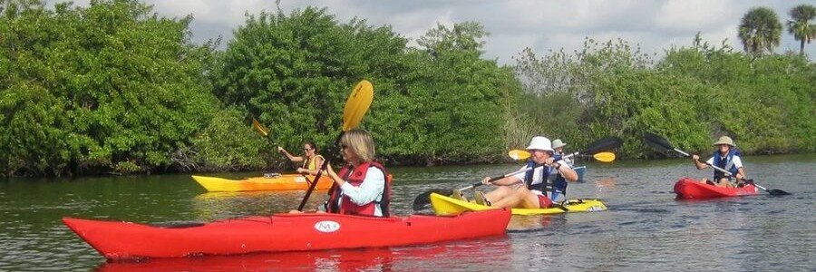 Kayaking Through Vero Beach Mangroves | Beach Travel Destinations Kayakers paddling through calm mangrove waterways during a guided kayak tour in Vero Beach, Florida.