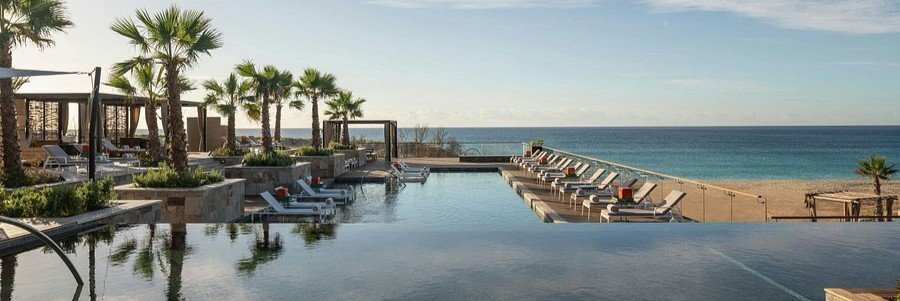 Infinity pool at Zadún a Ritz-Carlton Reserve in Los Cabos with palm trees, lounge chairs, and oceanfront views.
