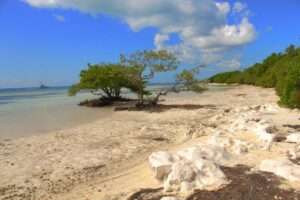 Annes Beach Islamorada, Florida Keys, best beaches of the Florida Keys