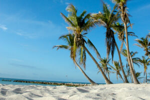 Higgs Beach Key West, Florida Keys, best beaches of the Florida Keys