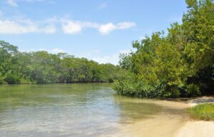 Library Beach Islamorada, Florida Keys, best beaches of the Florida Keys