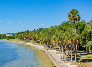 Maximo Beach Park Florida, best beaches in the U.S., best Florida beaches, The Best Beaches of St Pete Florida