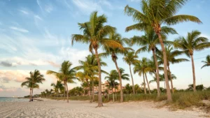 Smather's Beach Key West, Florida Keys, best beaches of the Florida Keys