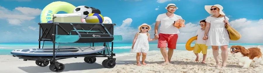 Children pulling a beach cart with a black dog along the shoreline.