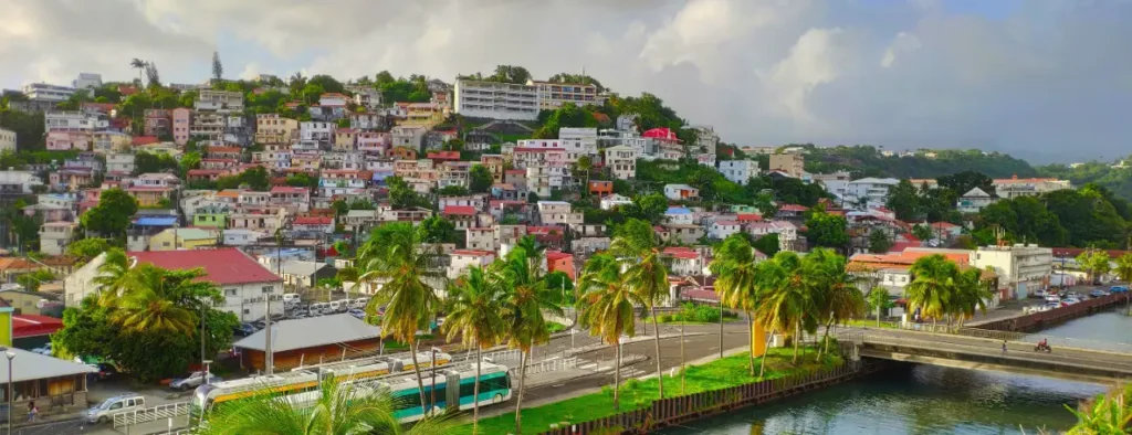 Fort-de-France waterfront in Martinique with hillside homes, palm trees, harbor views, and tropical city skyline