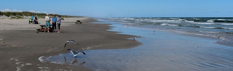 Malaquite Beach shoreline at Padre Island National Seashore with Gulf waves, sandy beach, and seabirds along the Texas coast